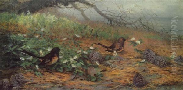 Birds, Flowers And Pine Cones by Fidelia Bridges