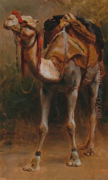 Study Of A Camel Oil Painting by Frederick Arthur Bridgman