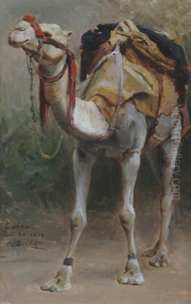 Study Of A Camel Oil Painting by Frederick Arthur Bridgman