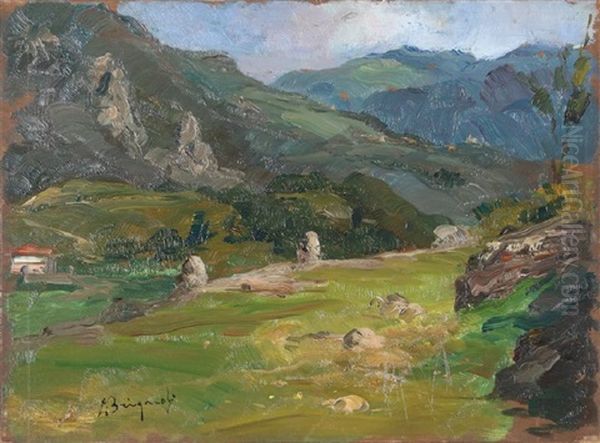 Paesaggio Alpino by Luigi Brignoli