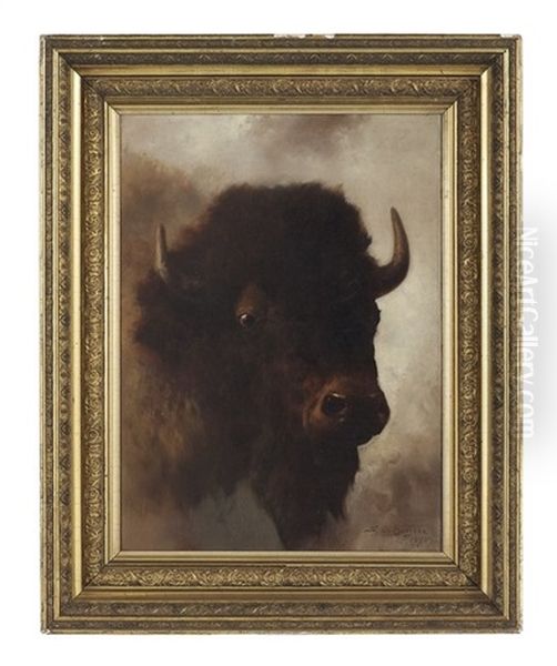 Portrait Of A Highland Cow Oil Painting by Franklin Dullin Briscoe