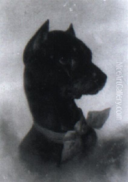 Dog Oil Painting by Franklin Dullin Briscoe