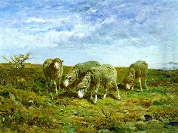 Moutons Dans La Lande Oil Painting by Felix Saturnin Brissot de Warville