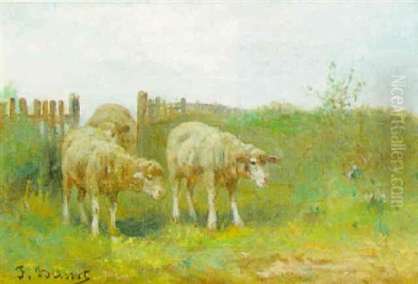 Moutons Dans L'enclos Oil Painting by Felix Saturnin Brissot de Warville