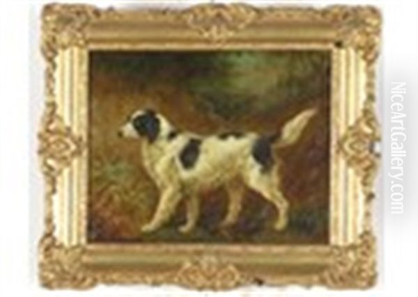 A Dog Portrait - A Setter In A Landscape Oil Painting by Edmund Bristow