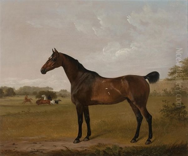 Bay Hunter In Windsor Great Park Oil Painting by Edmund Bristow