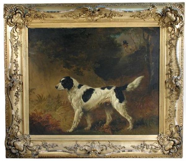 Portrait Of Fox, A Favourite Black And White Setter Oil Painting by Edmund Bristow