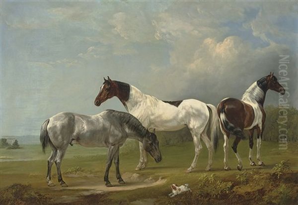 Two Skewbalds, A Grey And Spaniel Oil Painting by Edmund Bristow