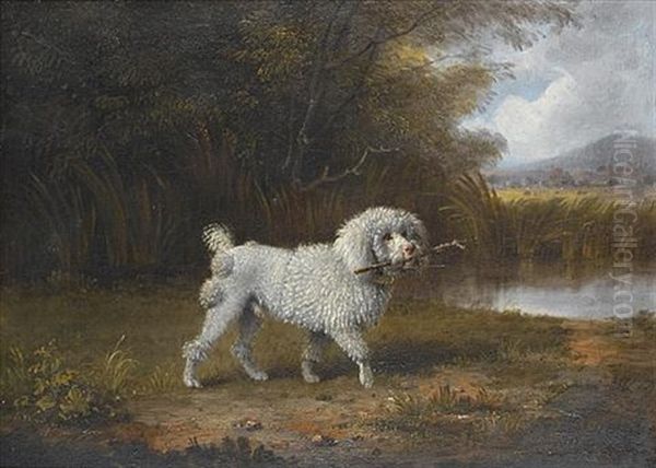 A Poodle In A Landscape Oil Painting by Edmund Bristow