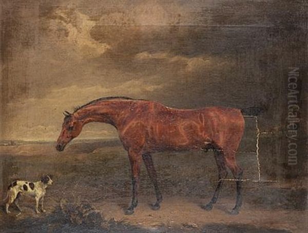 A Bay Hunter And A Pointer In A Landscape Oil Painting by Edmund Bristow