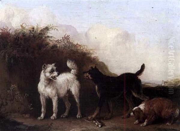 Dogs Fighting Over A Bone Oil Painting by Edmund Bristow