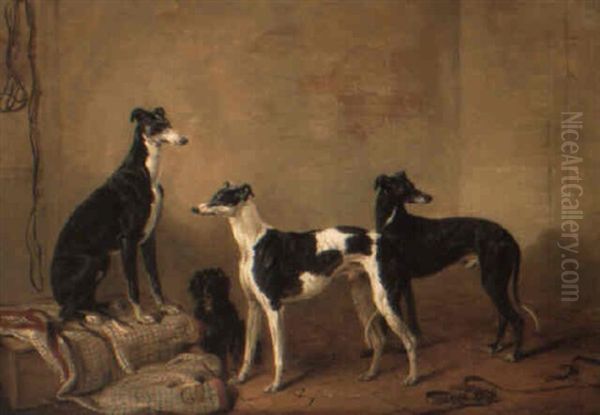 Lord Garlies' Greyhounds And A Spaniel In A Kennel Oil Painting by Edmund Bristow