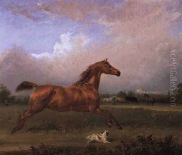 Chesnut Hunter And A King Charles Spaniel Near Windsor Castle Oil Painting by Edmund Bristow