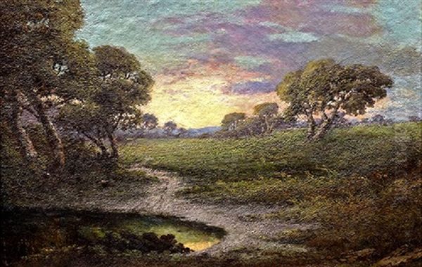 Vernal Pool Oil Painting by Alphonso Herman Broad