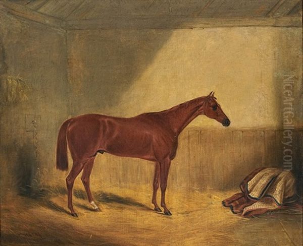 A Bay Horse Oil Painting by William Brocas