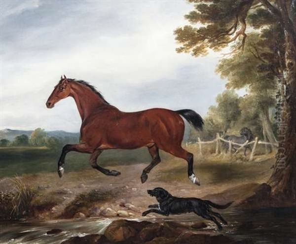 A Bay Stallion With A Dog In A Landscape Oil Painting by William Brocas