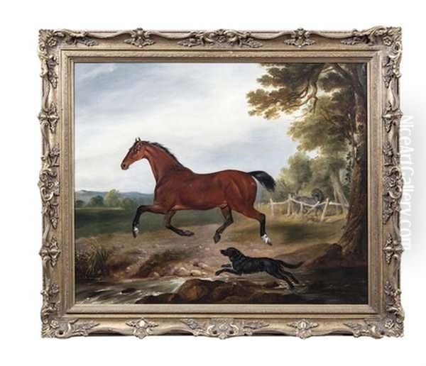 A Bay Stallion With A Dog In Landscape Oil Painting by William Brocas