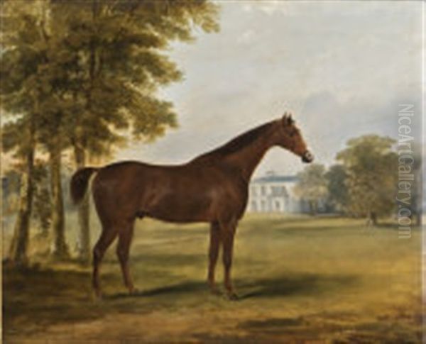 Dandy, A Bay Hunter In The Grounds Of Sheephill, Now Abbotstown, Castleknock Co., Dublin Oil Painting by William Brocas