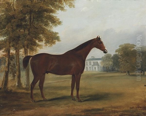 "dandy," A Bay Hunter In The Grounds Of Sheephill, Castlenock, Co. Dublin Oil Painting by William Brocas