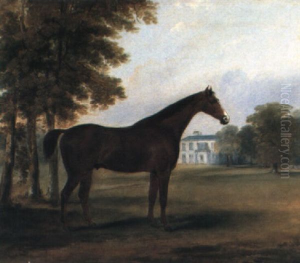 Dandy, A Bay Hunter In The Grounds Of Sheephill, Castleknock, Co. Dublin Oil Painting by William Brocas