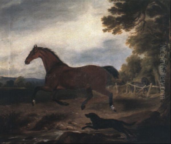 A Bay Stallion With A Spaniel In A Landscape Oil Painting by William Brocas