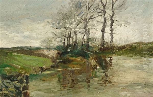 Landschaft Mit Bachlauf Oil Painting by Theo Von Brockhusen