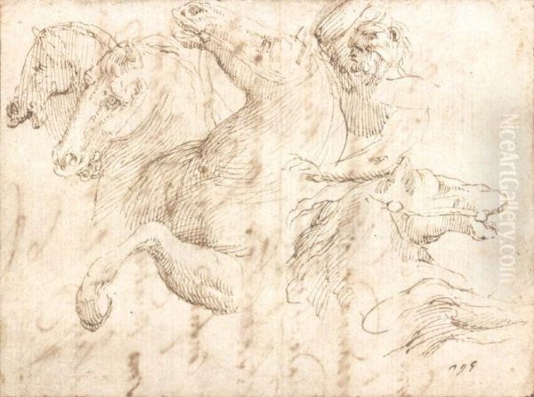 Etude De Cavalier Et De Tetes De Chevaux Oil Painting by Francesco Allegrini