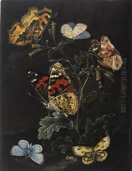 Forest Floor Still Life With Butterflies Oil Painting by Elias van den Broeck