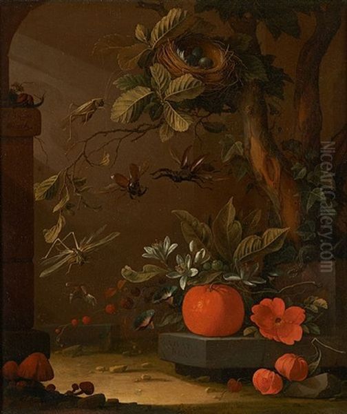 Nature Morte Aux Insectes, Escargot, Salamandre Et Champignons Oil Painting by Elias van den Broeck