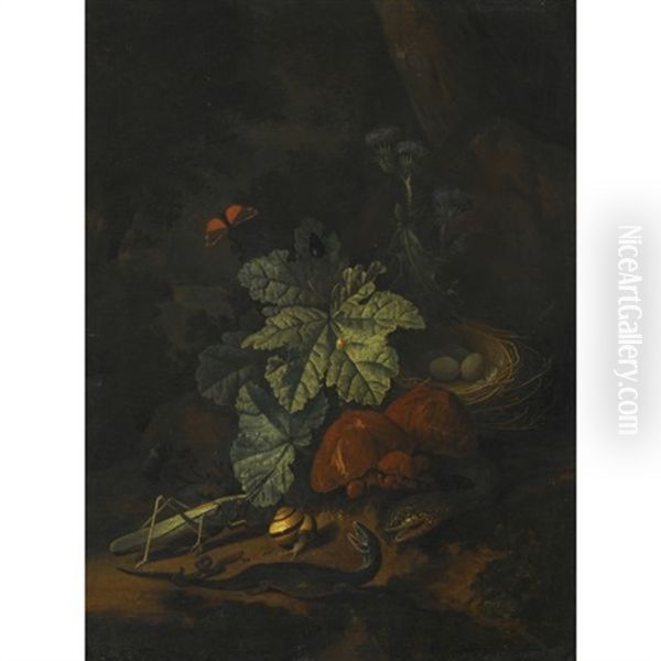 A Forest Floor Still Life With A Snake, A Snail, A Grasshopper, A Worm, A Lizard, A Bird's Nest And Toadstools Oil Painting by Elias van den Broeck