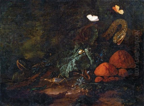 Stillleben Im Waldesgrund Mit Einer Schnecke, Raupe, Schlangen, Schmetterlingen, Einer Heuschrecke Und Pilzen Oil Painting by Elias van den Broeck