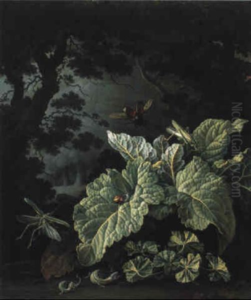 Nature Morte De Sous-bois Avec Sauterelles, Scarabee Au Clair De Lune Oil Painting by Elias van den Broeck