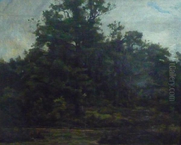 Paysage Boise Oil Painting by Gustave Allemand