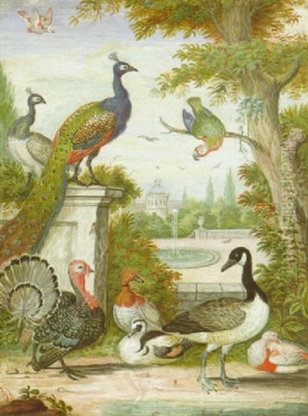 Zwei Pfauen, Ein Papagei, Eine Gans, Ein Truthahn, Enten Und Andere Vogel In Einem Scholsharten Oil Painting by Johannes Bronkhorst