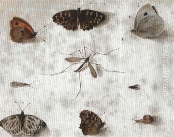 Insects Oil Painting by Johannes Bronkhorst