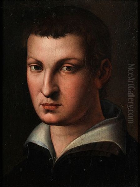 Kopf Eines Junglings by  Bronzino