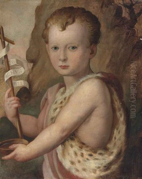 Portrait Of A Young Boy, Traditionally Identified As Ferdinando De Medici, As The Infant Saint John The Baptist Oil Painting by  Bronzino