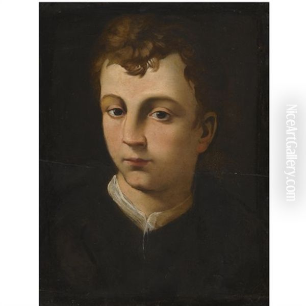 Portrait Of A Boy, Head And Shoulders, Wearing A Black Coat With A White Collar Oil Painting by  Bronzino