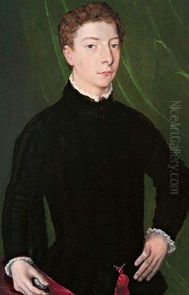 Ritratto Di Un Giovanotto Oil Painting by  Bronzino