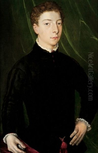 Ritratto Di Un Giovanotto Oil Painting by  Bronzino