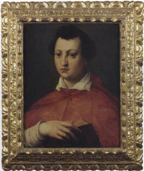 Ritratto Del Cardinale Giovanni De' Medici Con Un Breviario In Mano Oil Painting by  Bronzino