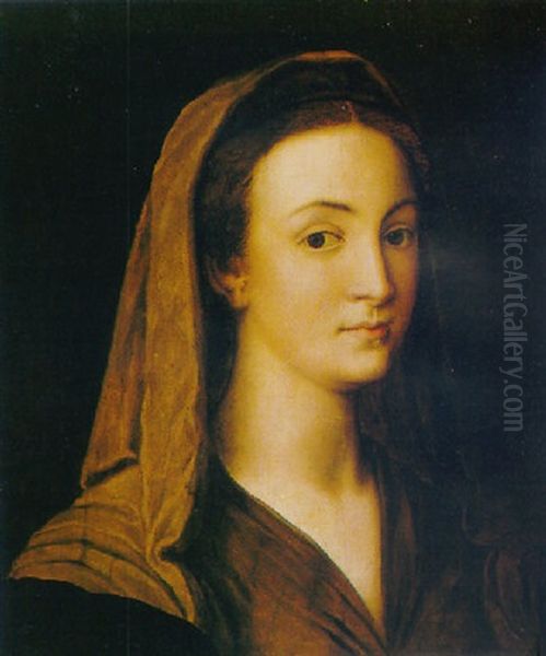 Portrait Of A Woman In A Brown Dress Oil Painting by  Bronzino