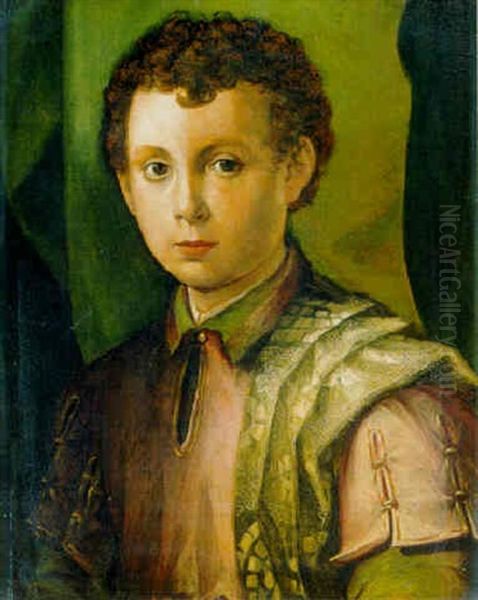 Portrait Of A Young Boy Oil Painting by  Bronzino