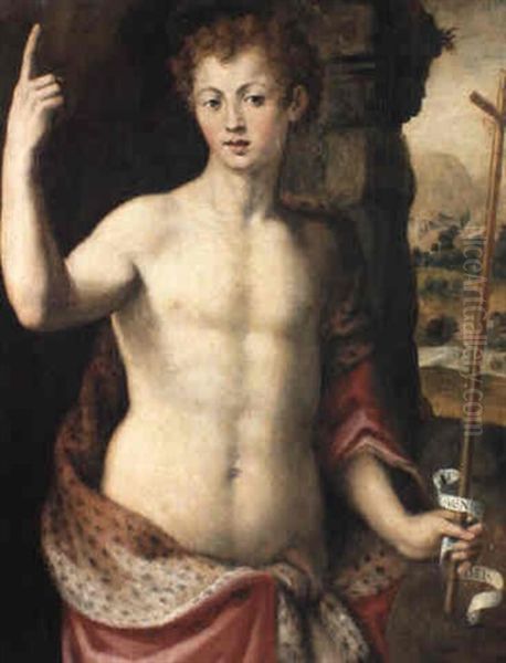 St. John The Baptist Oil Painting by  Bronzino