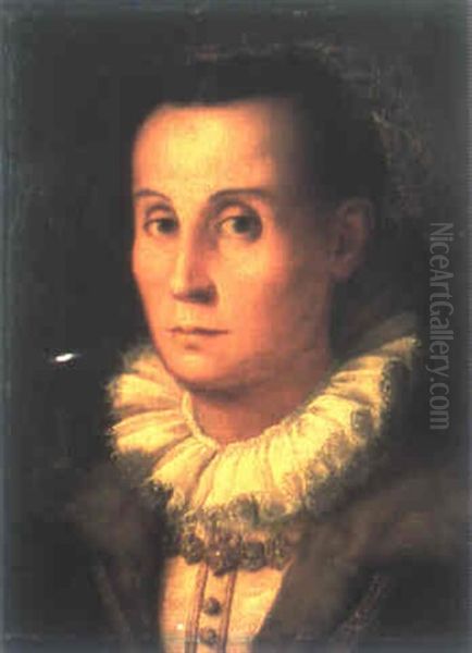 Portrat Einer Jungen Florentiner Dame Oil Painting by  Bronzino