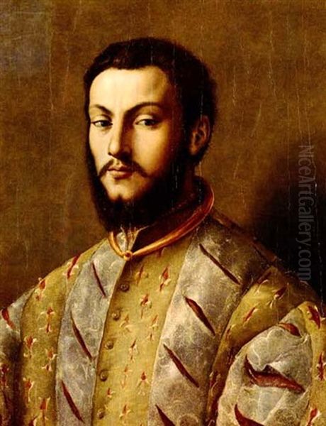 Portrait Of A Young Nobleman Oil Painting by  Bronzino