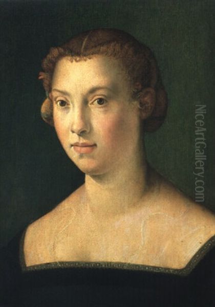 Portrait Of A Lady Oil Painting by  Bronzino