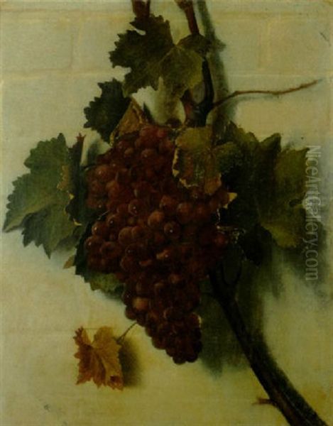 A Still Life Of Grapes On The Vine Oil Painting by Samuel Marsden Brookes