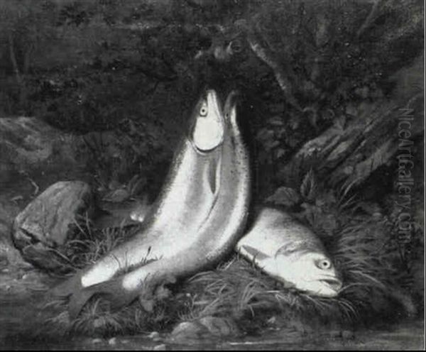 Still Life With Fish Oil Painting by Samuel Marsden Brookes