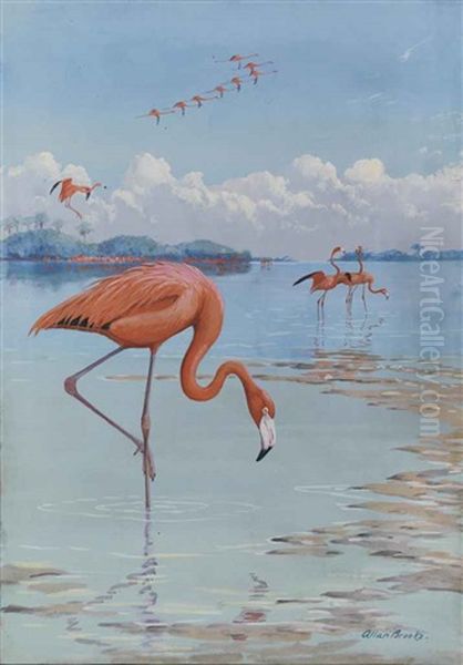 Flamingos Oil Painting by Allan Brooks